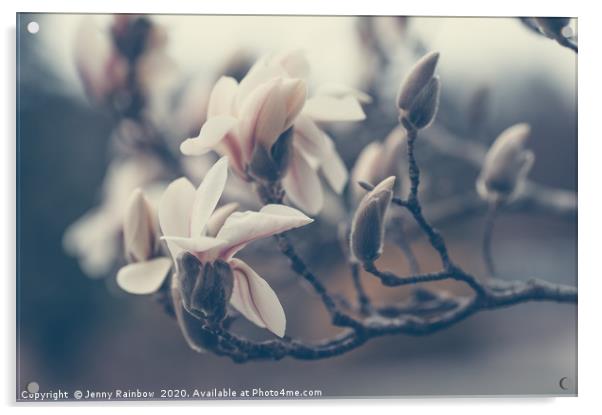 Zen Magnolia Blossom Boho Style Acrylic by Jenny Rainbow