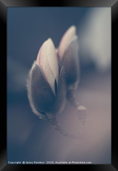 Zen Magnolia Bud Boho Style Framed Print by Jenny Rainbow
