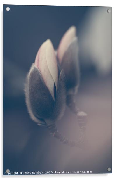 Zen Magnolia Bud Boho Style Acrylic by Jenny Rainbow