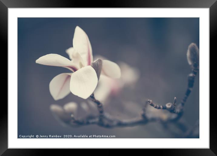 Zen Magnolia Flower Boho Style Framed Mounted Print by Jenny Rainbow