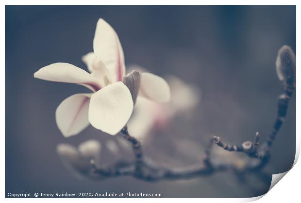 Zen Magnolia Flower Boho Style Print by Jenny Rainbow
