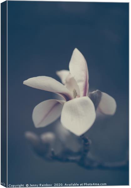 Zen Magnolia Bloom Boho Style Canvas Print by Jenny Rainbow