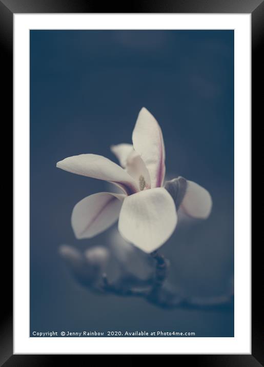 Zen Magnolia Bloom Boho Style Framed Mounted Print by Jenny Rainbow