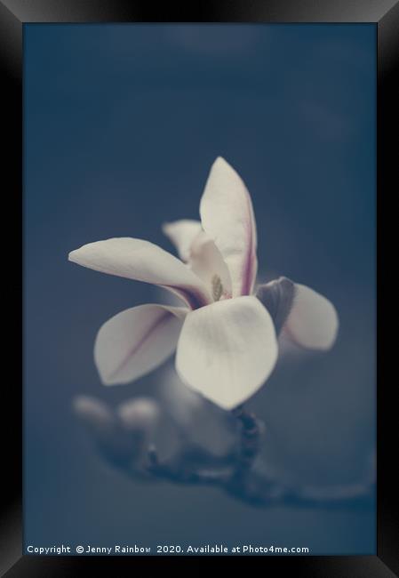 Zen Magnolia Bloom Boho Style Framed Print by Jenny Rainbow