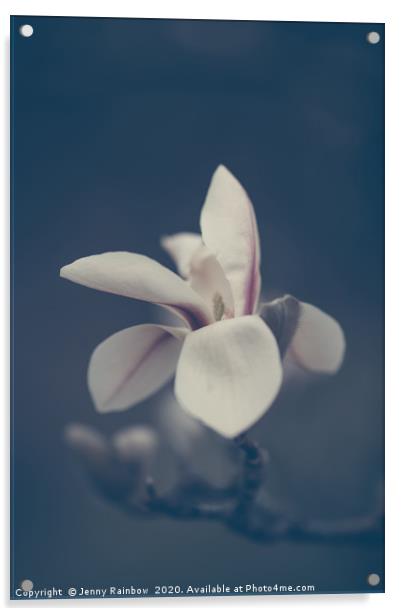 Zen Magnolia Bloom Boho Style Acrylic by Jenny Rainbow