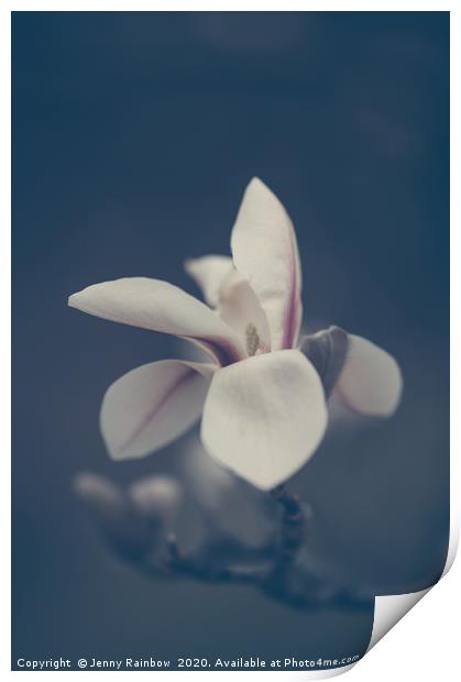 Zen Magnolia Bloom Boho Style Print by Jenny Rainbow