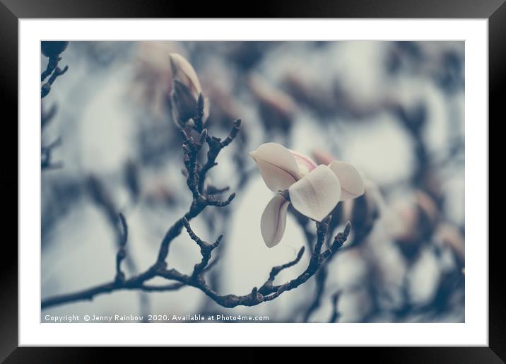 Zen Magnolia Branches Boho Style Framed Mounted Print by Jenny Rainbow