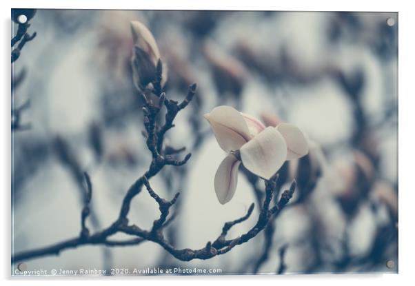 Zen Magnolia Branches Boho Style Acrylic by Jenny Rainbow