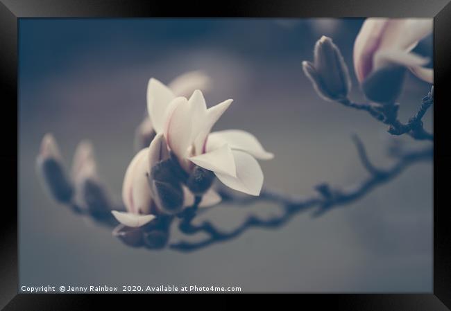 Zen Magnolia Flowers Boho Style Framed Print by Jenny Rainbow