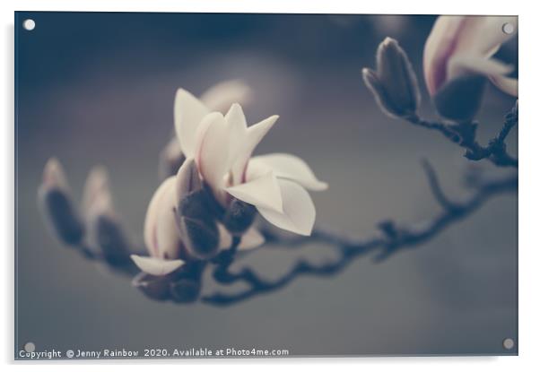 Zen Magnolia Flowers Boho Style Acrylic by Jenny Rainbow