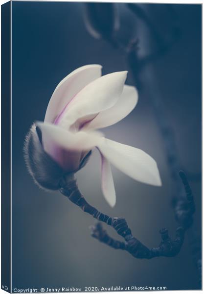 Zen Magnolia New Blooms Boho Style Canvas Print by Jenny Rainbow