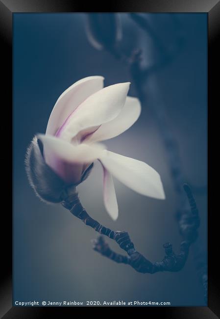 Zen Magnolia New Blooms Boho Style Framed Print by Jenny Rainbow