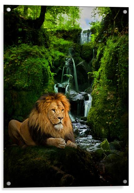 The Lion Sanctuary Acrylic by Abdul Kadir Audah
