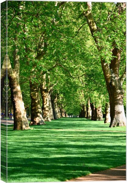 Hyde Park in London, UK, Canvas Print by M. J. Photography