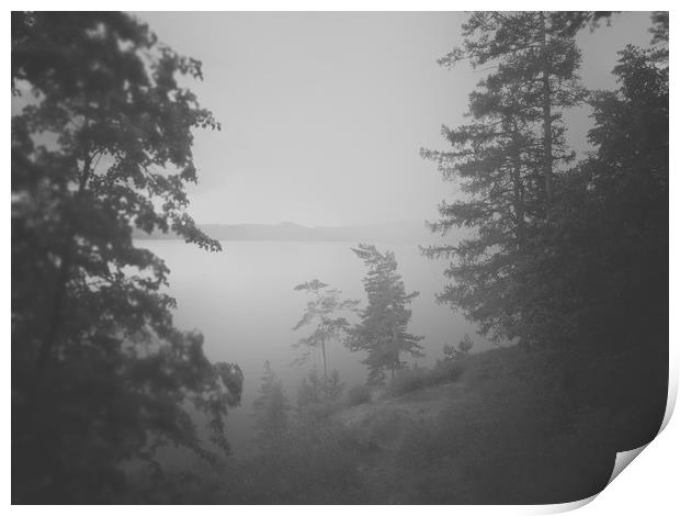 Foggy lake Print by Larisa Siverina