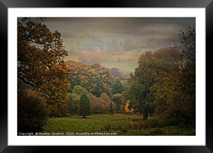 The Arboretum Framed Mounted Print by Heather Goodwin