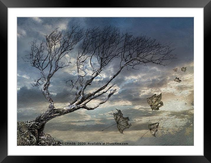 AT THE END OF THE STORM Framed Mounted Print by Tony Sharp LRPS CPAGB