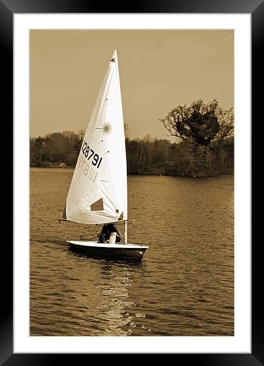 Sailboat Framed Mounted Print by Donna Collett