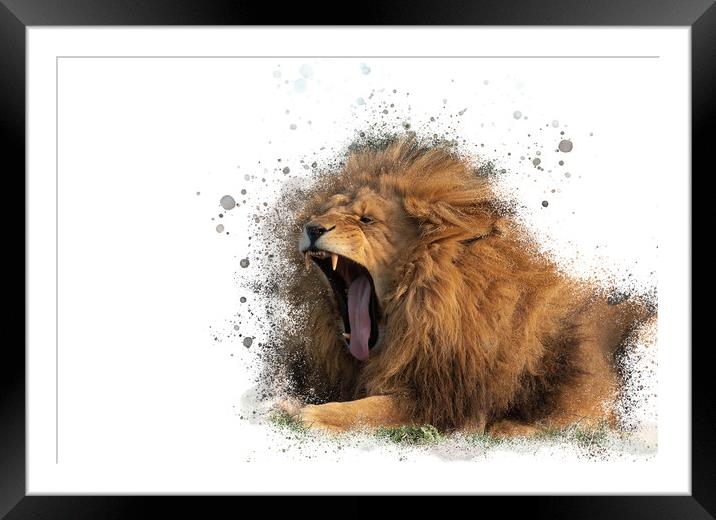 Majestic Roar Framed Mounted Print by Darren Wilkes
