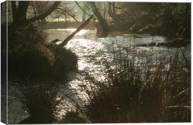 Dark River. Canvas Print by Dave Bell