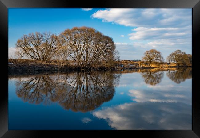 Spring in Moscow region. Symmetry. Framed Print by Alexey Rezvykh