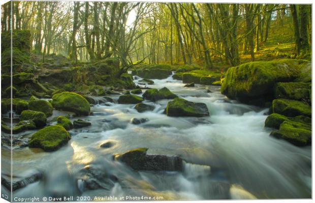 River Rushing Through The Woods Canvas Print by Dave Bell