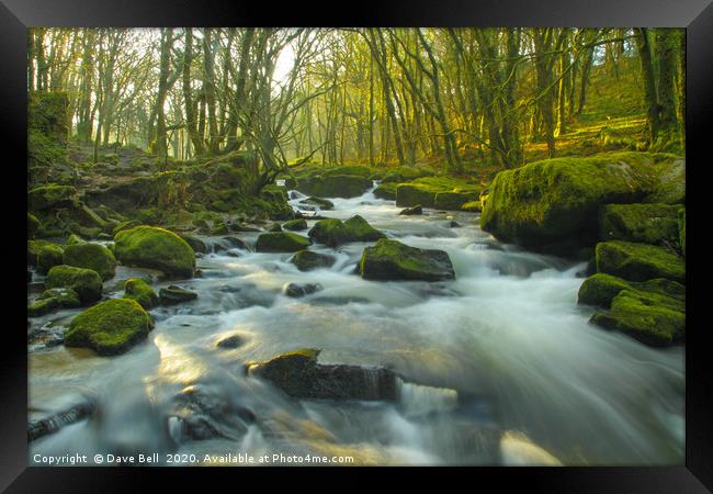 River Rushing Through The Woods Framed Print by Dave Bell