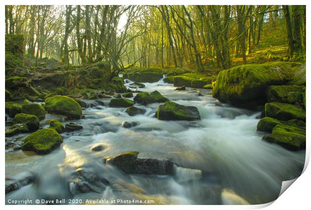 River Rushing Through The Woods Print by Dave Bell