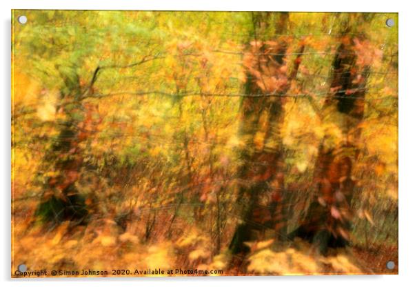 sunlit autumn woodland Acrylic by Simon Johnson