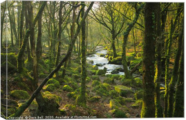 Woodland River Canvas Print by Dave Bell
