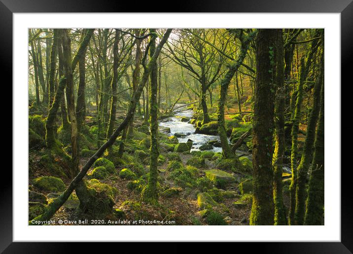 Woodland River Framed Mounted Print by Dave Bell