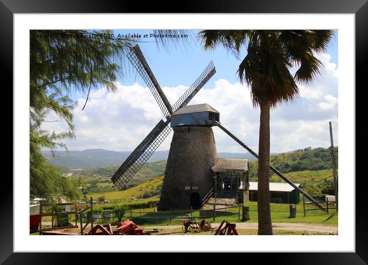 Windmill in Barbados Framed Mounted Print by Jane Emery