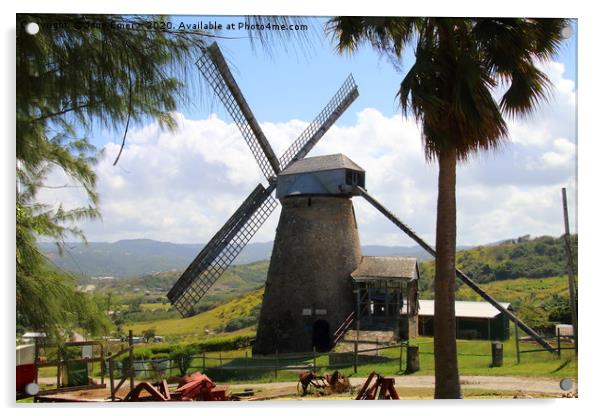 Windmill in Barbados Acrylic by Jane Emery