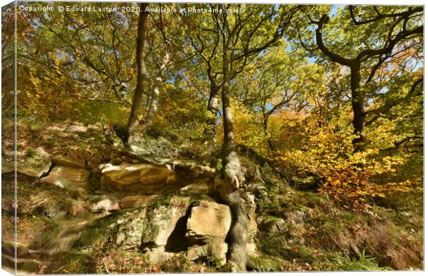 Autumnal Oaks on the Rocks Canvas Print by Edward Laxton