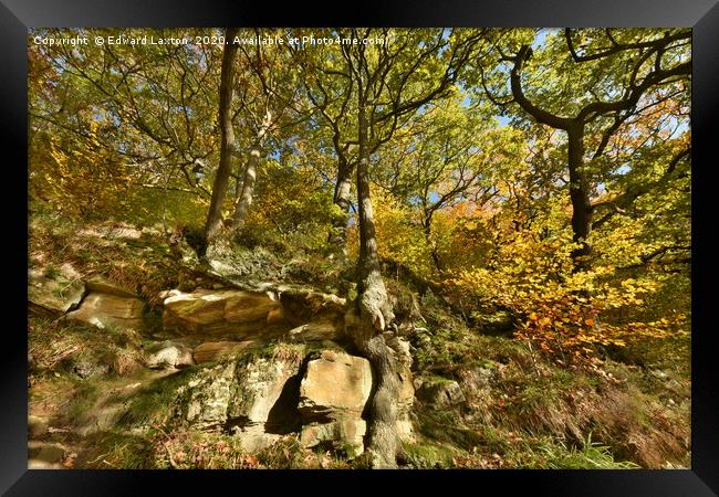 Autumnal Oaks on the Rocks Framed Print by Edward Laxton