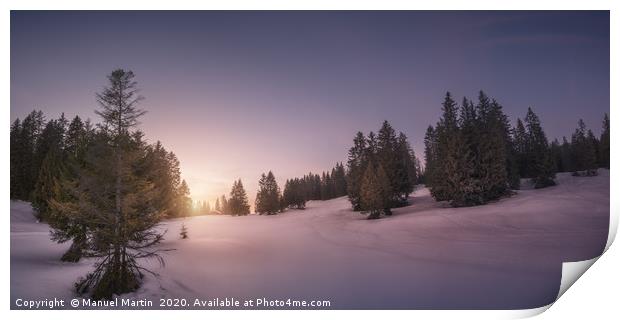The Beauty of Winter Print by Manuel Martin