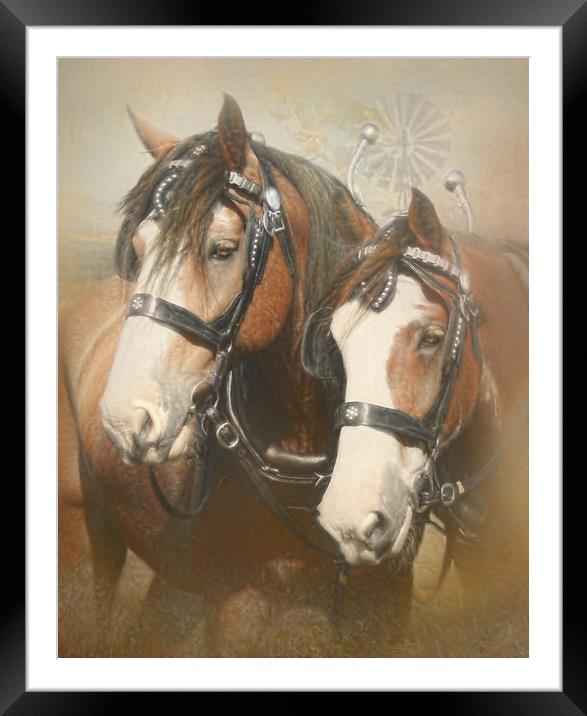 Dusty and Dayz Framed Mounted Print by Trudi Simmonds