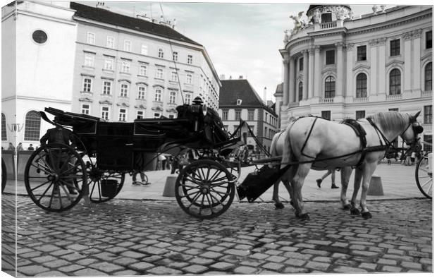 Vienna street attraction, romantically horse-drawn Canvas Print by M. J. Photography