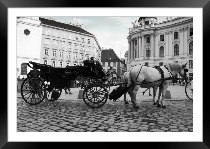 Vienna street attraction, romantically horse-drawn Framed Mounted Print by M. J. Photography