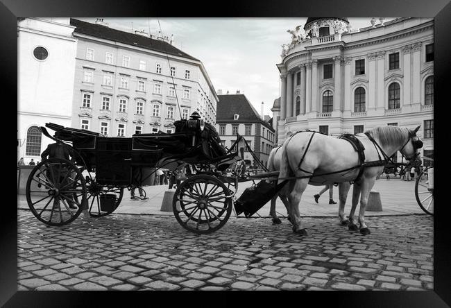 Vienna street attraction, romantically horse-drawn Framed Print by M. J. Photography