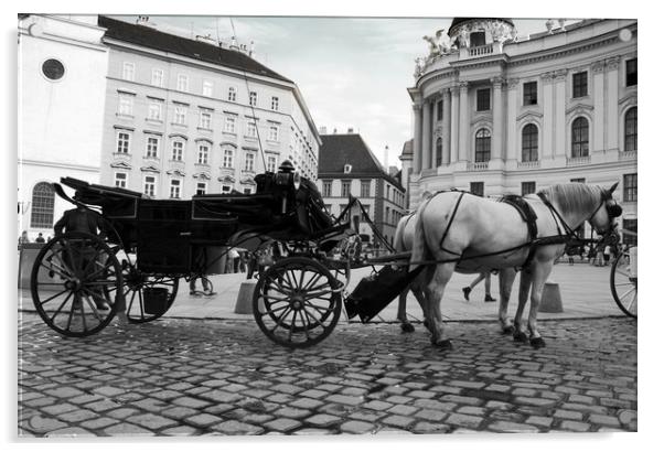 Vienna street attraction, romantically horse-drawn Acrylic by M. J. Photography