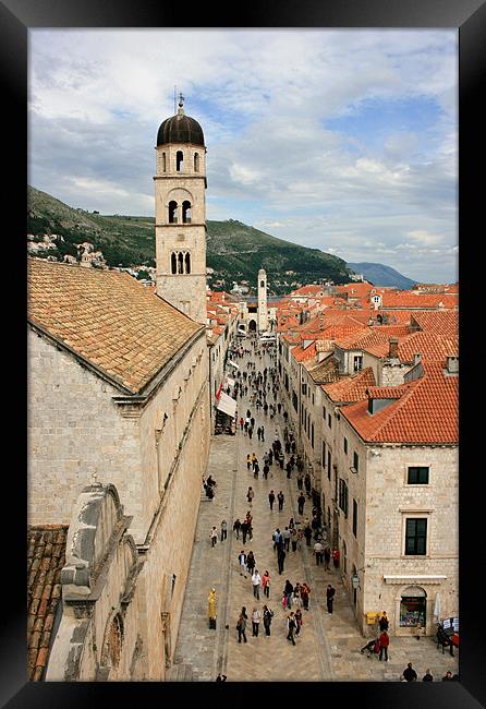 Stradun, Dubrovnik Framed Print by David Gardener