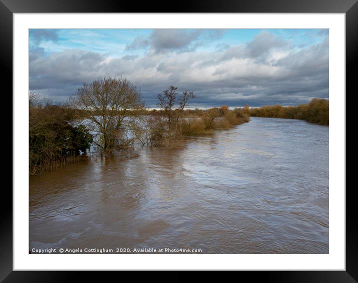 Flooding River Ouse Framed Mounted Print by Angela Cottingham