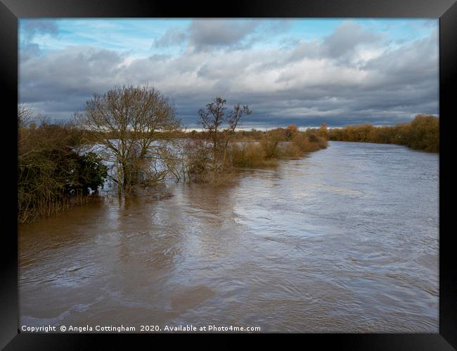 Flooding River Ouse Framed Print by Angela Cottingham