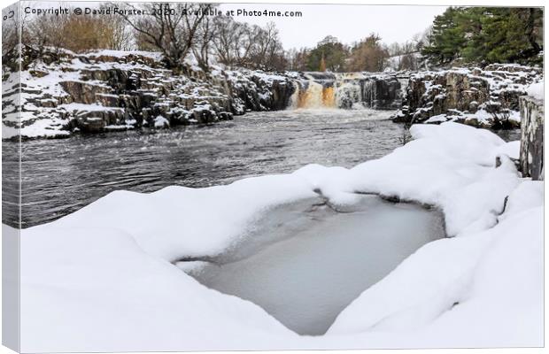 The River Tees at Low Force in Winter, Upper Teesd Canvas Print by David Forster
