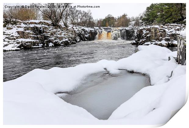 The River Tees at Low Force in Winter, Upper Teesd Print by David Forster