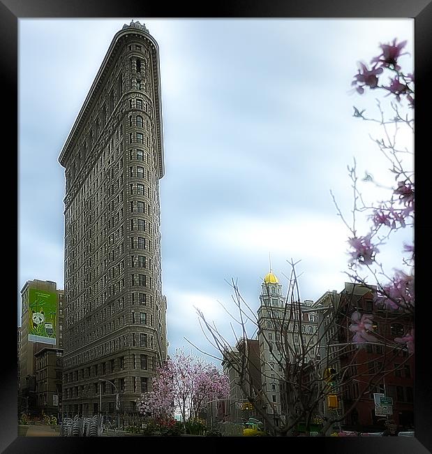 Flat Iron Building Framed Print by peter tachauer