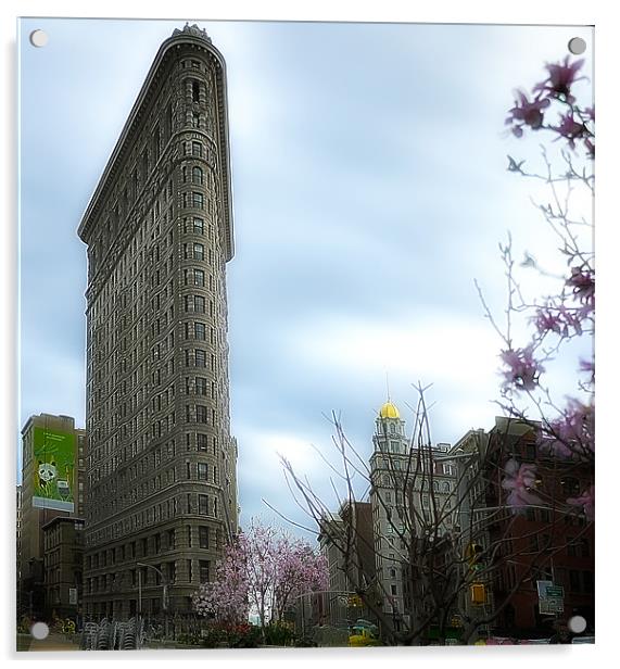 Flat Iron Building Acrylic by peter tachauer