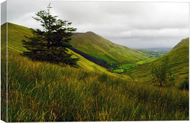 Glengesh Canvas Print by Steven Watson