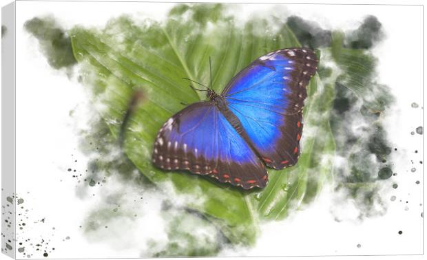 Butterfly Watercolour Art Canvas Print by Darren Wilkes